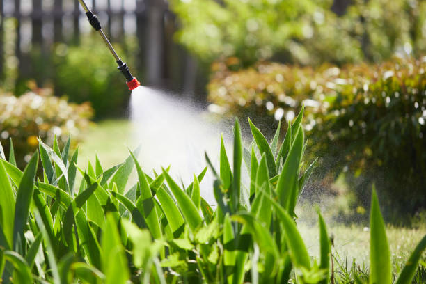 Tamper-Resistant Bait Stations for Rodents in New Lebanon