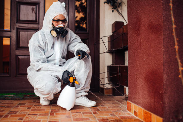 Attic and Crawl Space Rodent Treatment in New Lebanon